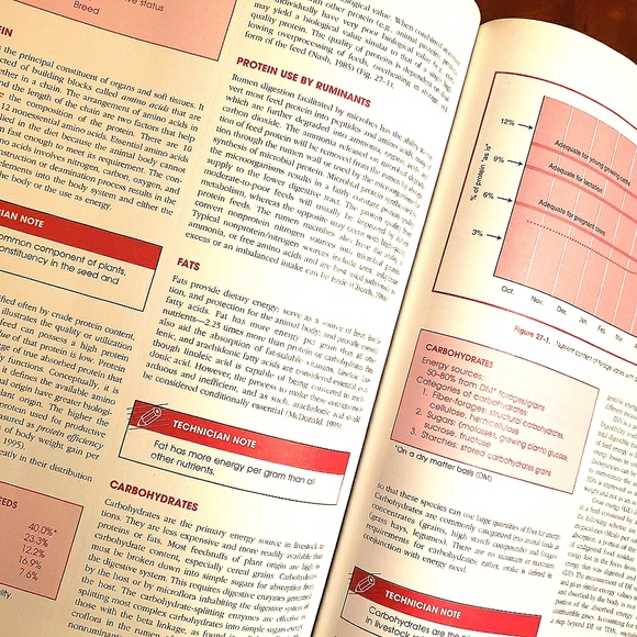 Clinical Textbook For Veterinary Technicians {Saunders}, 4th Edition - Picture 5 of 6